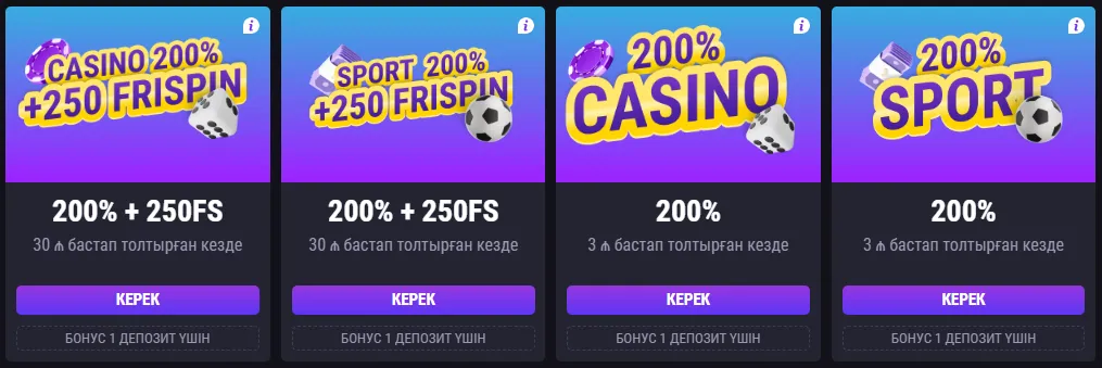 Terms of receipt and use of bonuses